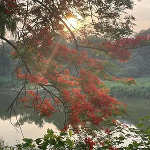 https://guesthouse-sky-dragon-guesthouse.hotelsluangprabang.com